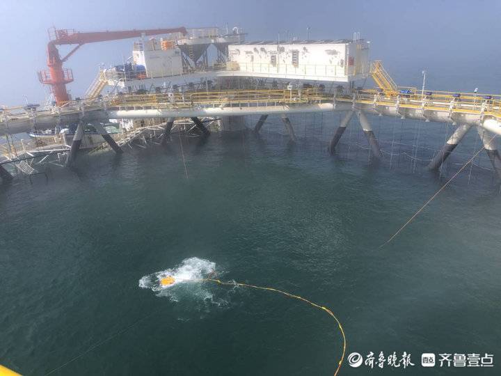 揭開“經海001號”神秘面紗！壹粉探訪深遠海智能網箱