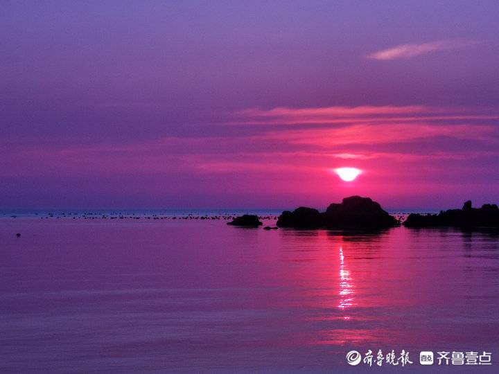 賞海島風光！煙臺壹粉：第一次近距離看海蜇，實在是太美了