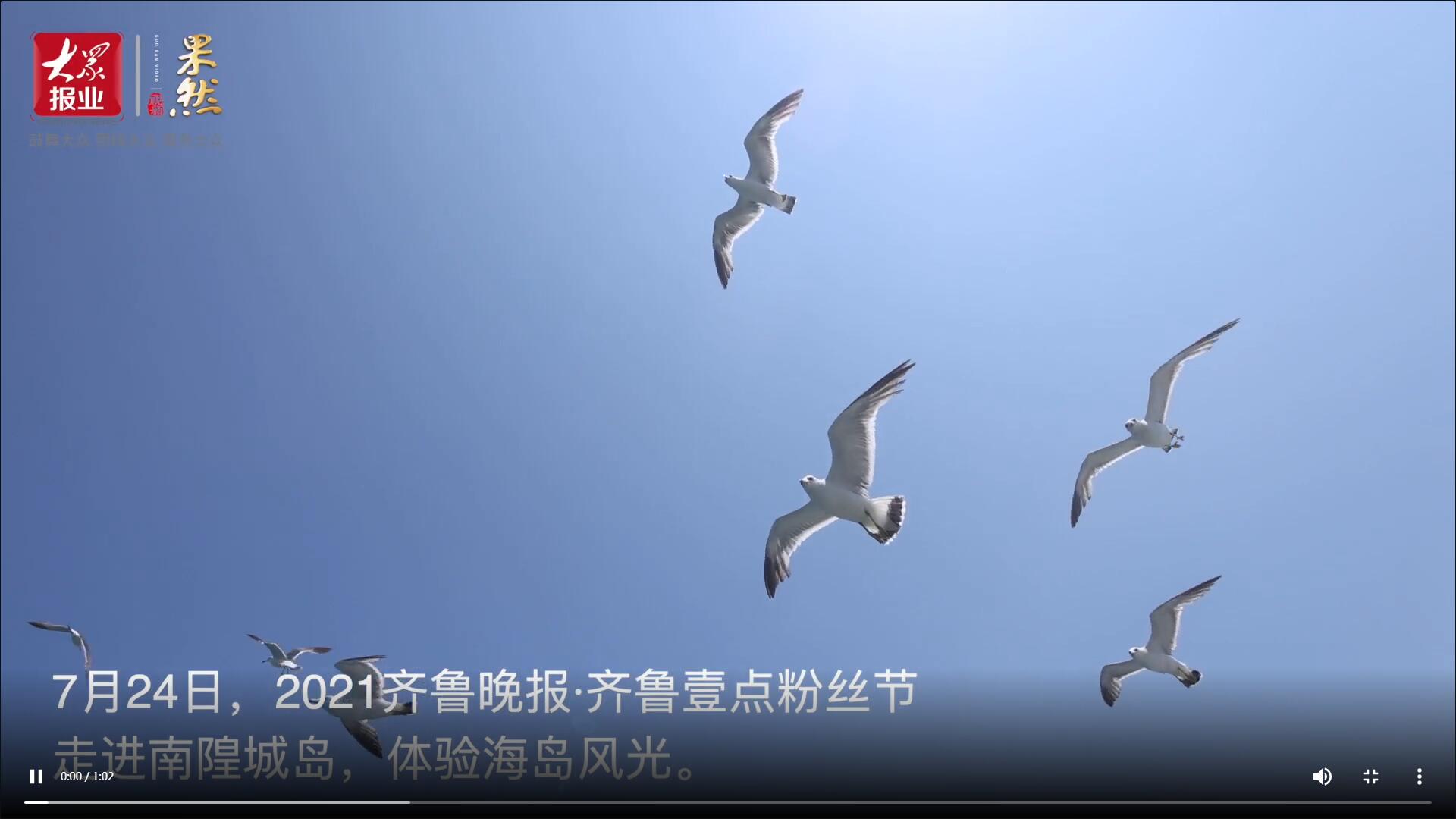 果然視頻|百名壹粉登上南隍城島，開啟海島之旅