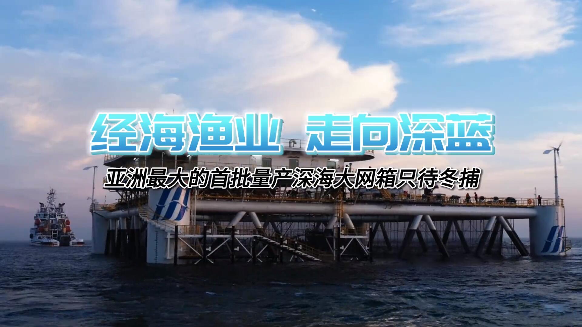 亞洲單體最大深遠海智能網箱即將出魚！