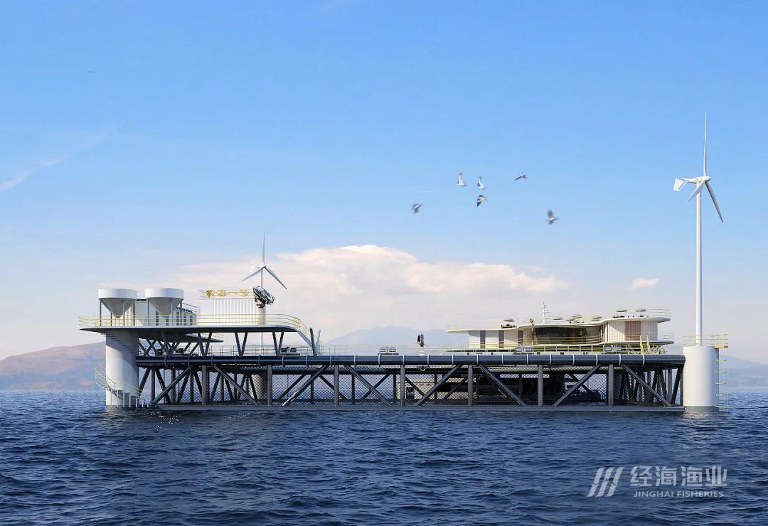中國海洋大學(xué)魚類繁殖生理與種子實驗室溫海深教授團(tuán)隊來訪經(jīng)海漁業(yè)