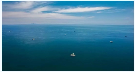 十四五項目組在煙臺經(jīng)海海洋漁業(yè)有限公司召開項目核心示范基地建設(shè)工作研討會