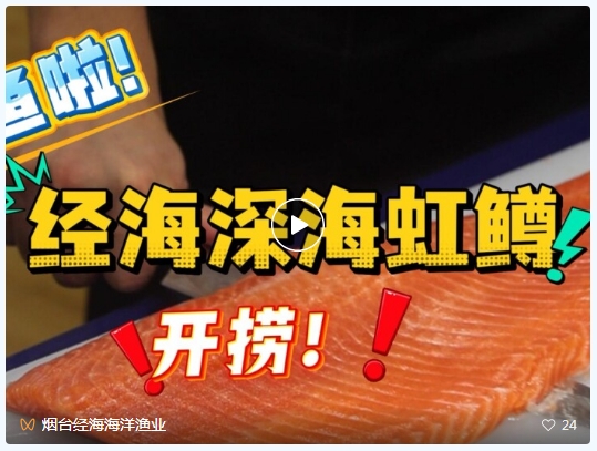 經海深海虹鱒全城開售｜長島南隍城島，煙臺人自家的深海好魚！煙臺五區門店鮮切鮮享！